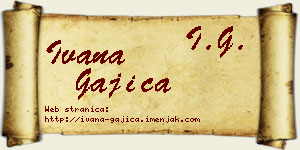 Ivana Gajica vizit kartica